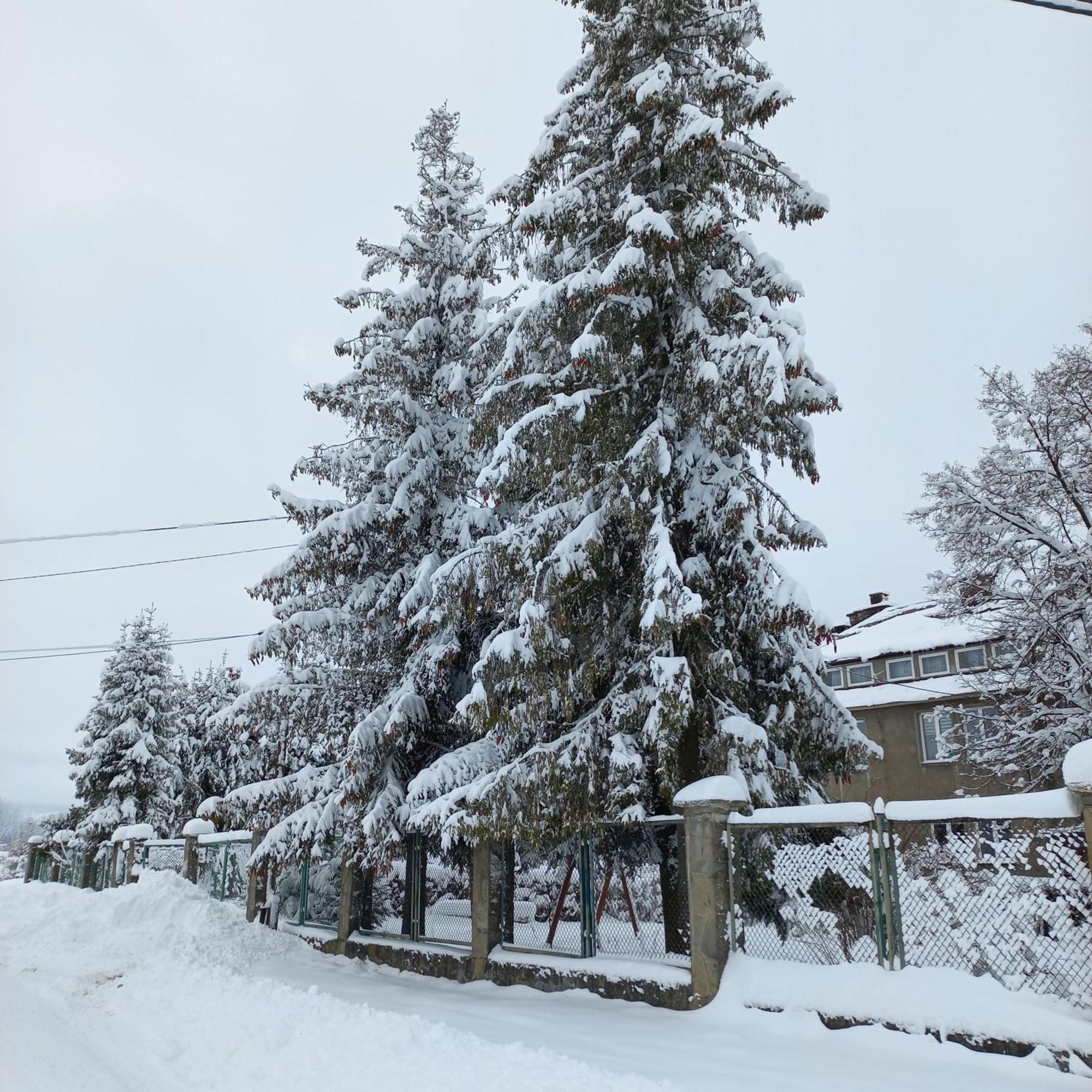 Apartamenty Na Szlaku Czarny Dunajec Luaran gambar